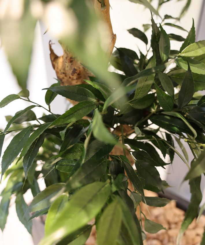 social-media.channel - Social-Media Agentur /3